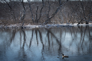 Concord River