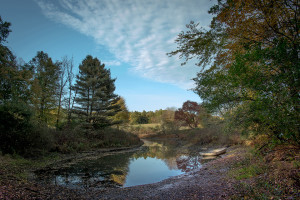 Sudbury River Boat Laucnh