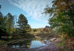 EckFoto New England Nature Photography