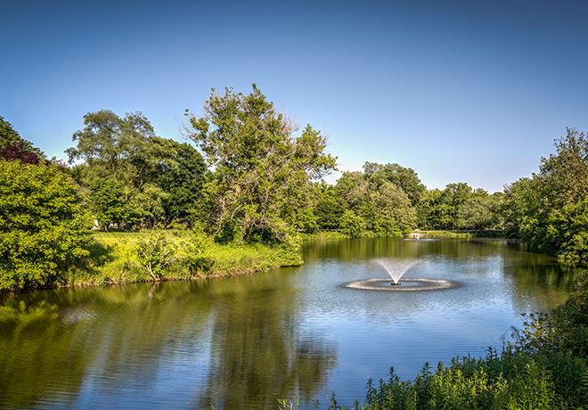 EckFoto Real Estate Photography at 114 Potter Pond, Lexington MA